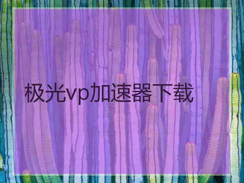 极光vp加速器下载